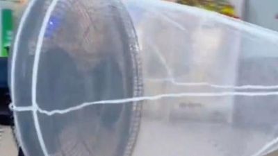福建女子自製低成本捕蚊神器5小時捕獲60隻蚊子，網友驚呼：物理滅蚊新時代！