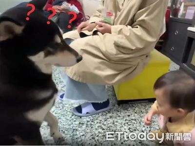 幼童模仿黑柴犬聽令秒坐下 網友笑翻：要搶肉肉？