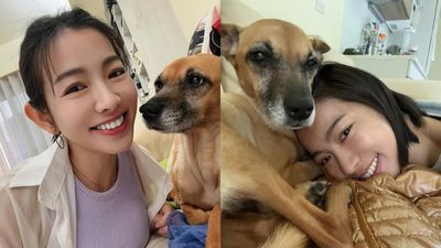 米可白愛犬遭路人嫌棄「太瘦」 心疼發聲：誰會故意養瘦狗？