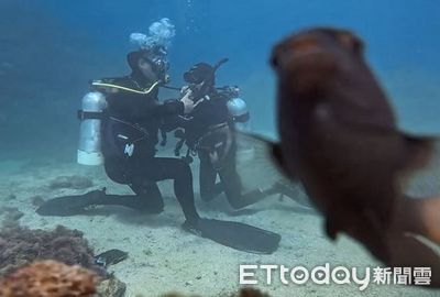 鯛魚搶鏡成主角！潛水教學影片變身海洋生物秀