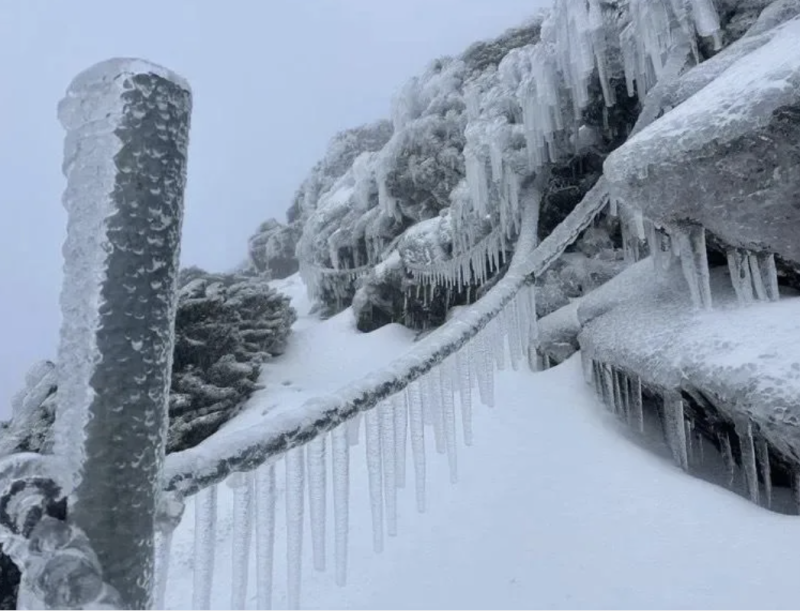玉山冰晶美景步道藏最高風險 玉管處:別被好天氣騙